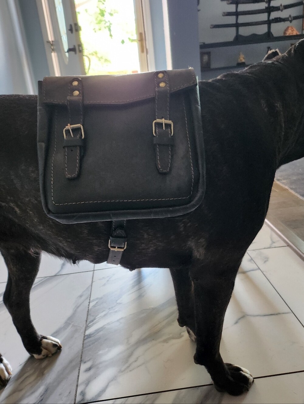 Large Dog Leather Sadle Bag